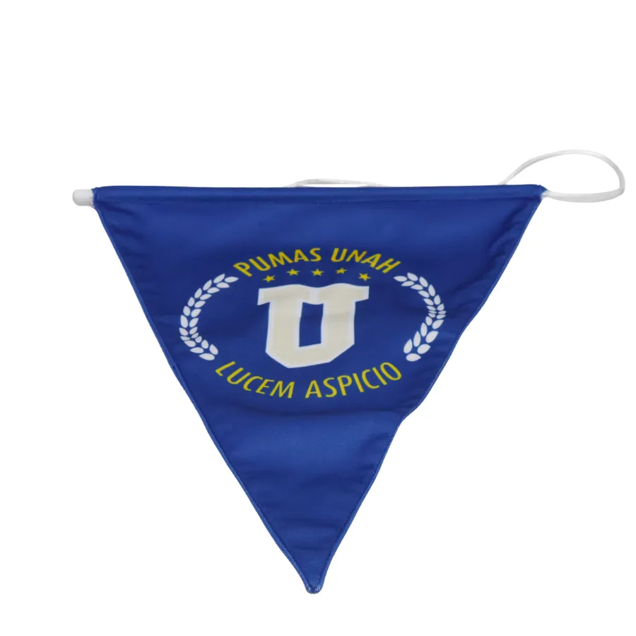 [55650] AMBER'S Banderin