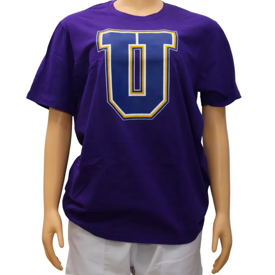 INTEX Camiseta algodón (varios logos) (Aqua, XS)