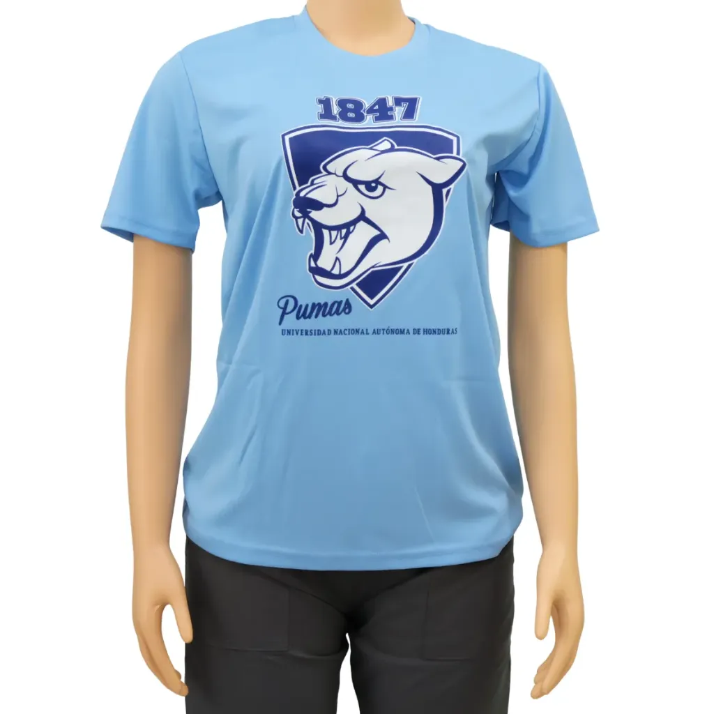 INTEX Camiseta algodón (varios logos)