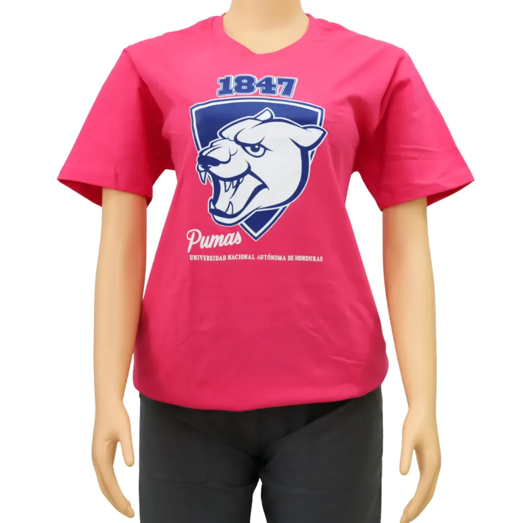 INTEX Camiseta algodón (varios logos)