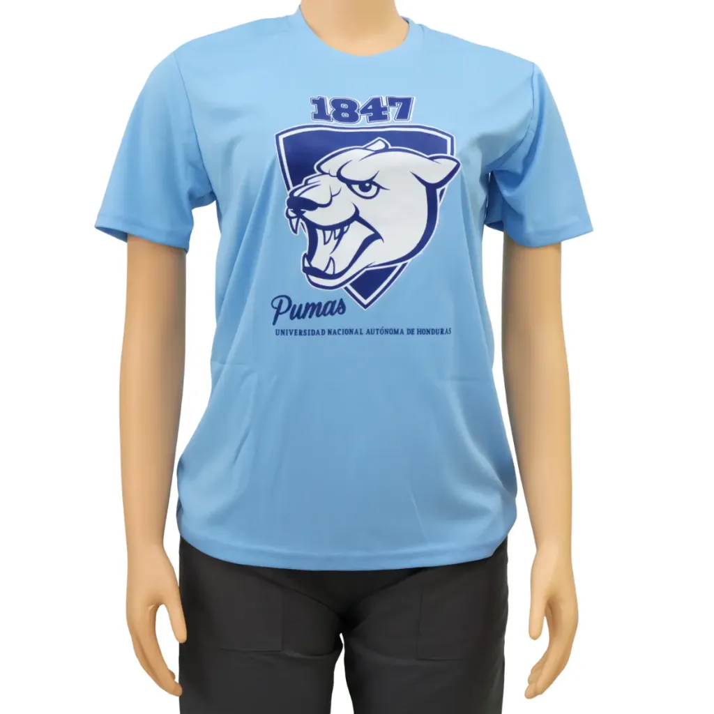 INTEX Camiseta algodón (varios logos)