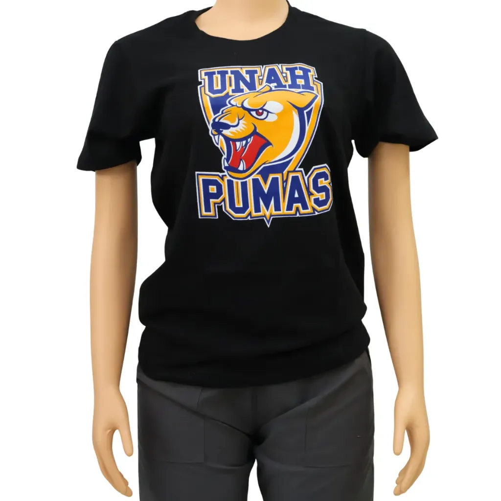 INTEX Camiseta algodón (varios logos)