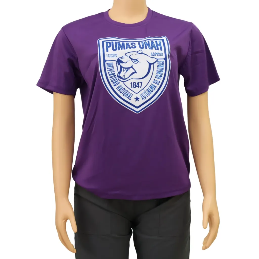 INTEX Camiseta algodón (varios logos)