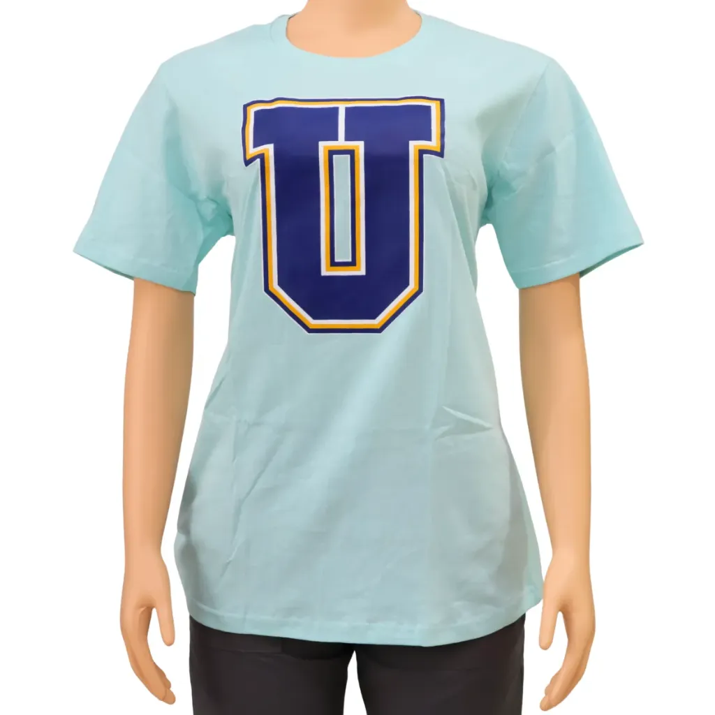 INTEX Camiseta algodón (varios logos)