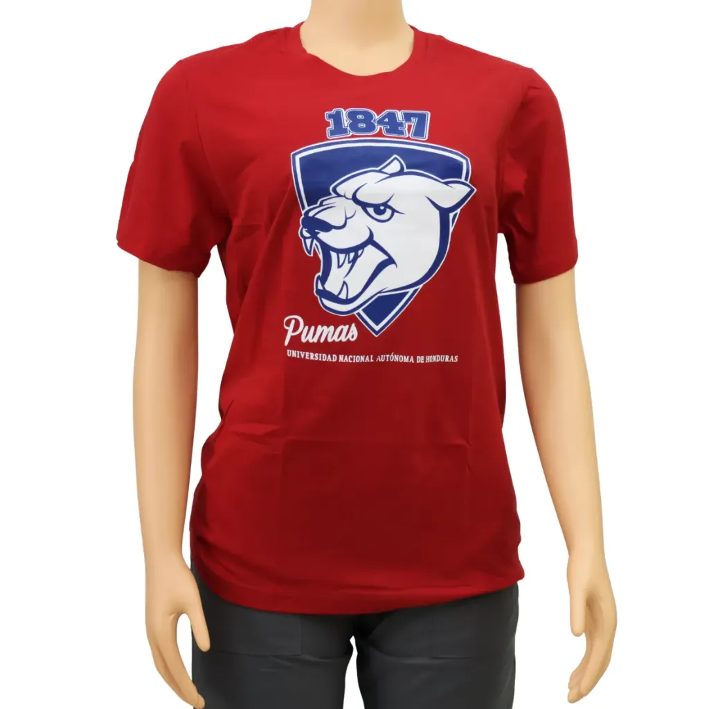 INTEX Camiseta algodón (varios logos)