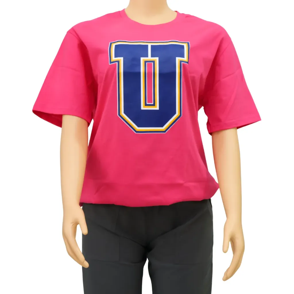 INTEX Camiseta algodón (varios logos)
