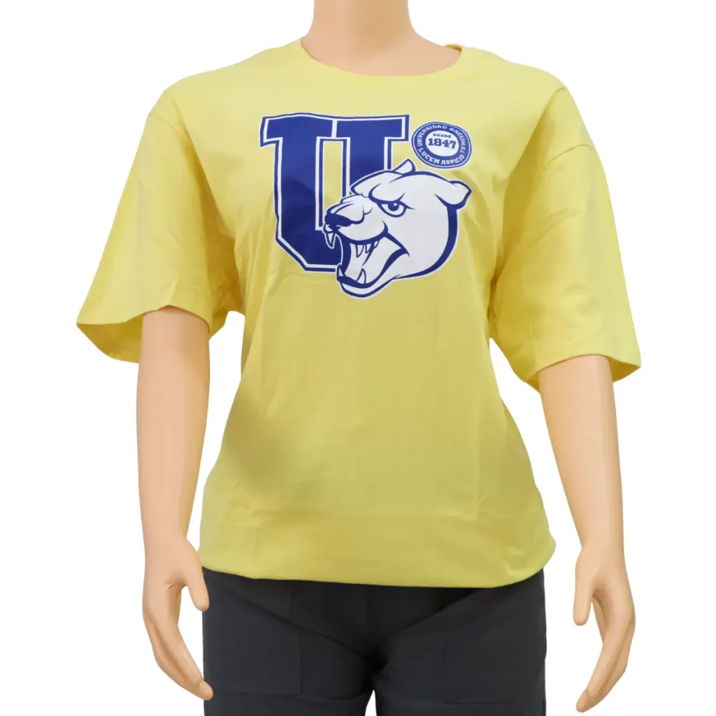 INTEX Camiseta algodón (varios logos)