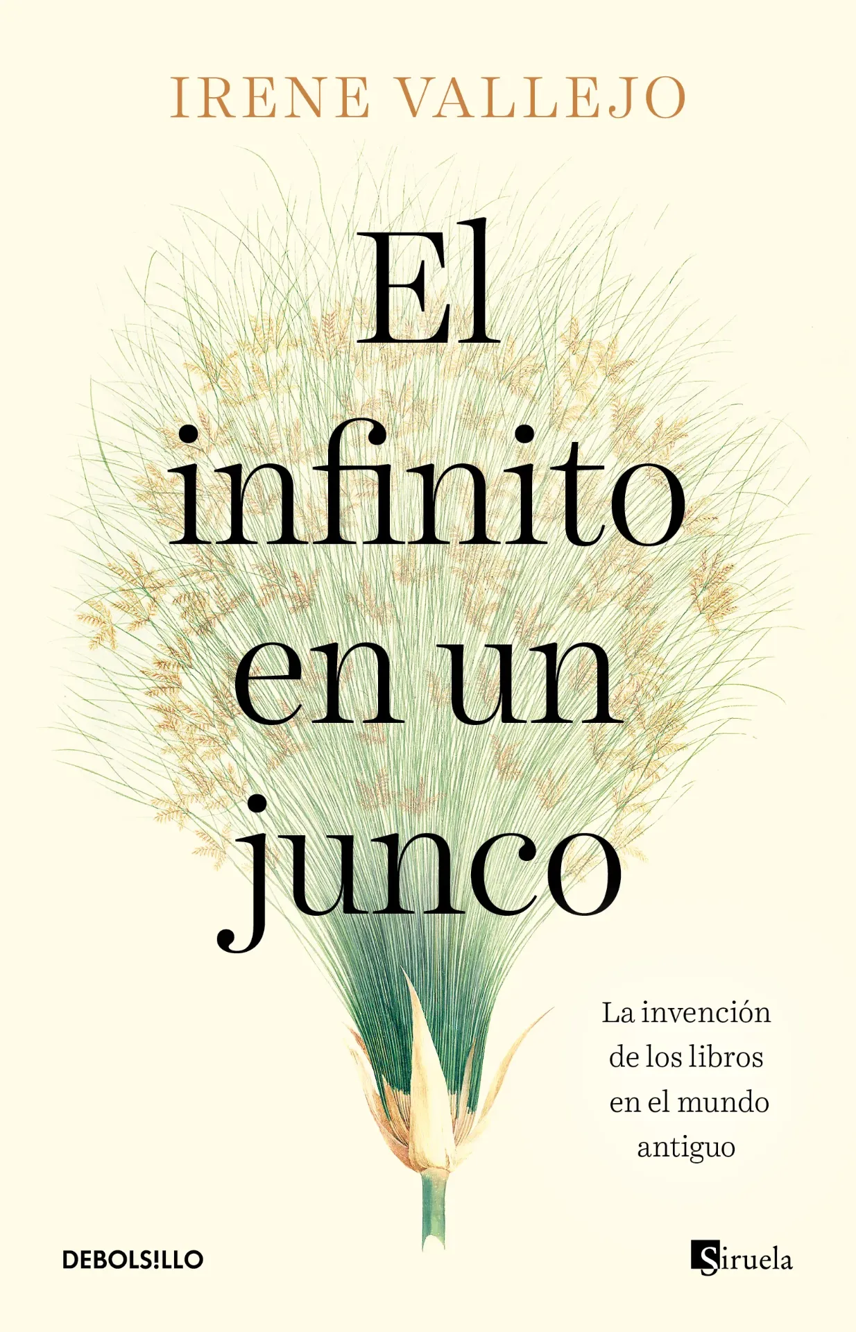 El Infinito en un Junco