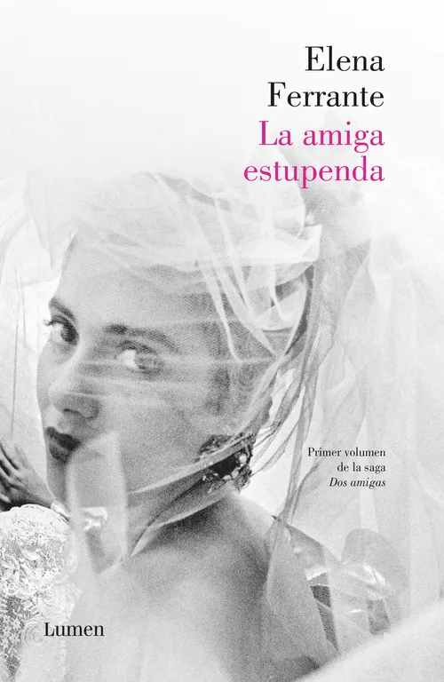 La Amiga Estupenda (Dos Amigas 1)